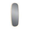 BADEZIMMERSPIEGEL 60/160/4 cm  - Goldfarben/Schwarz, MODERN, Glas/Metall (60/160/4cm)