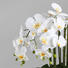 KUNSTBLUME Orchidee - Weiß/Grün, Trend, Kunststoff (54cm)