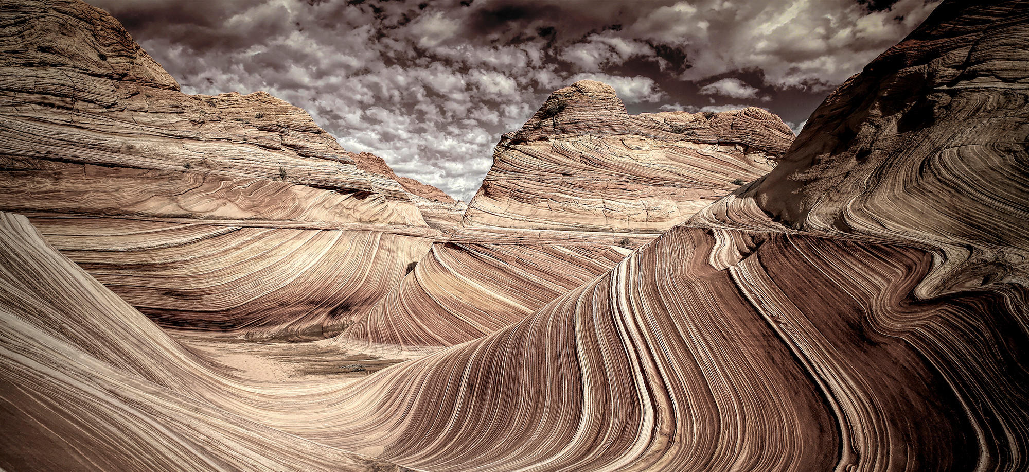 KUNSTDRUCK 120/55 cm  - Trend (120/55cm) - Monee