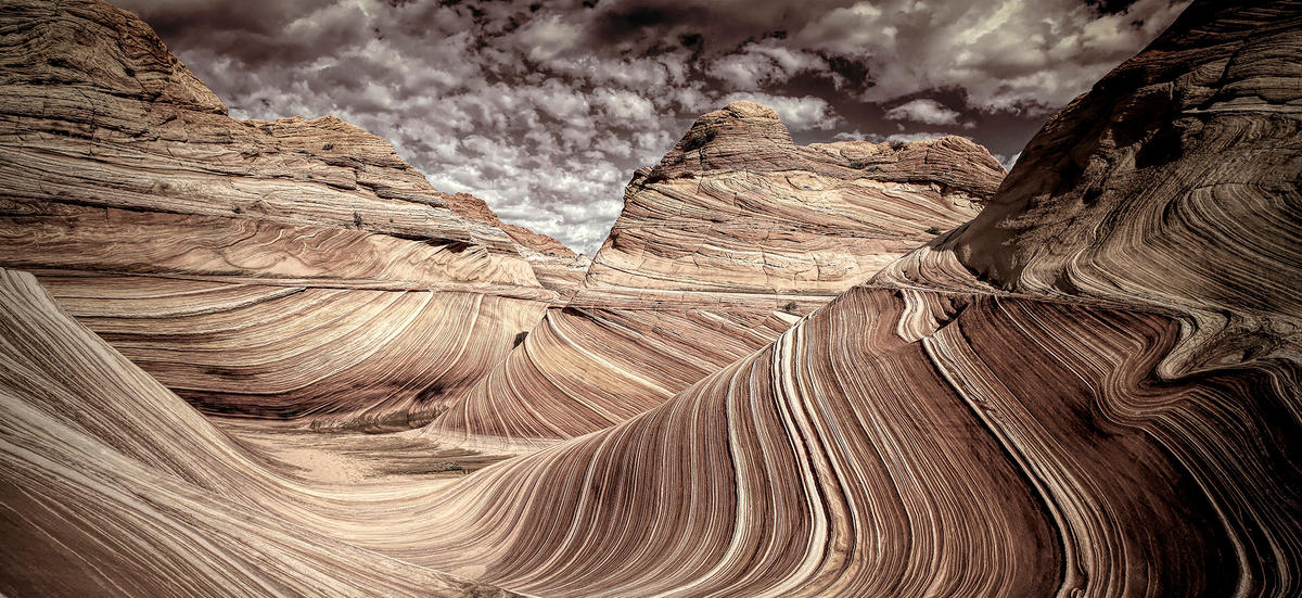 KUNSTDRUCK 120/55 cm  - Trend (120/55cm) - Monee