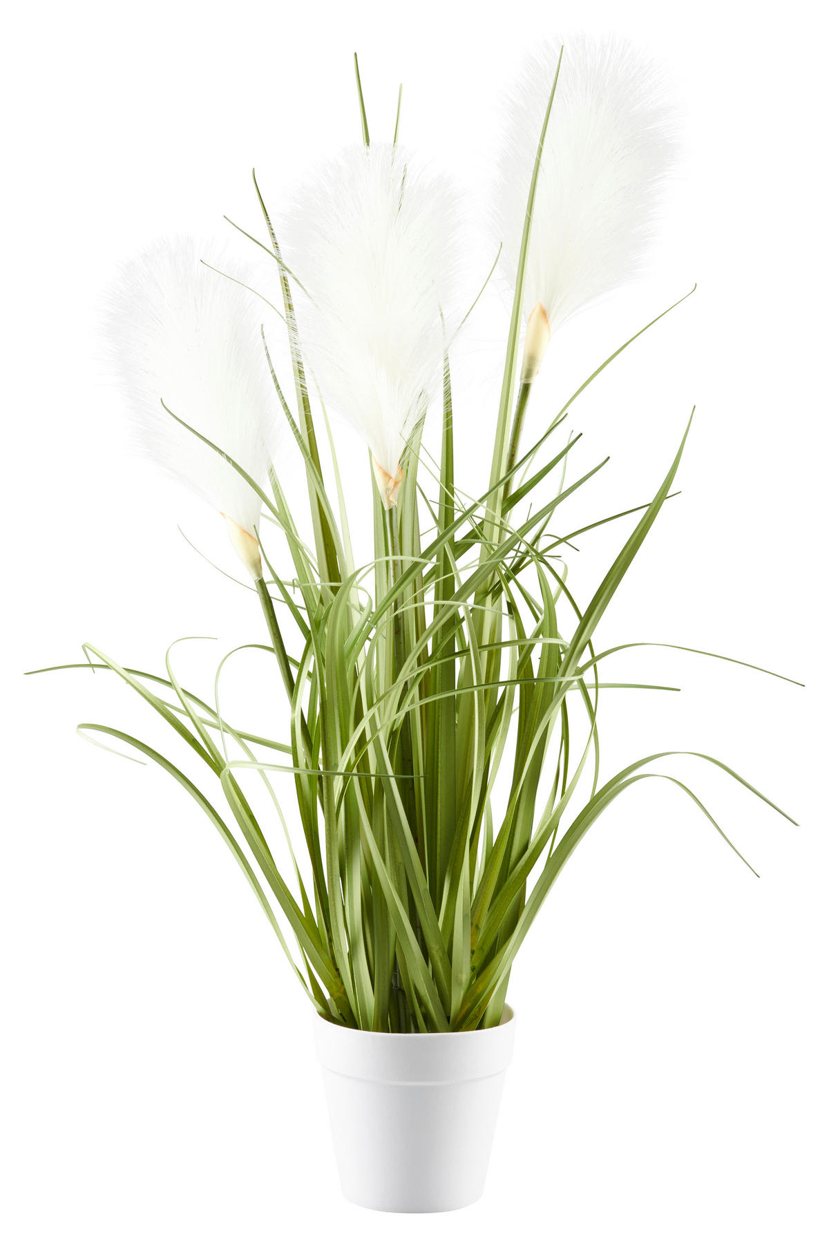 DEKOGRAS - Weiss/Grün, Basics, Kunststoff/Metall (53cm) - Ambia Home
