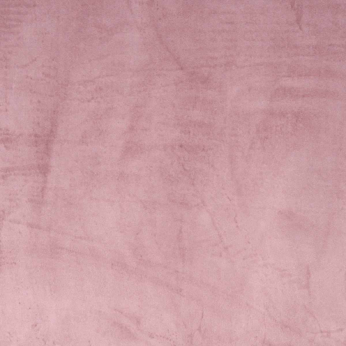 FERTIGVORHANG  blickdicht   135/245 cm  - Rosa, Basics, Textil (135/245cm) - Esposa