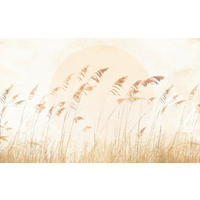 VLIESTAPETE 2,5 m  - Gelb/Braun, Basics (400/250cm) - Xora