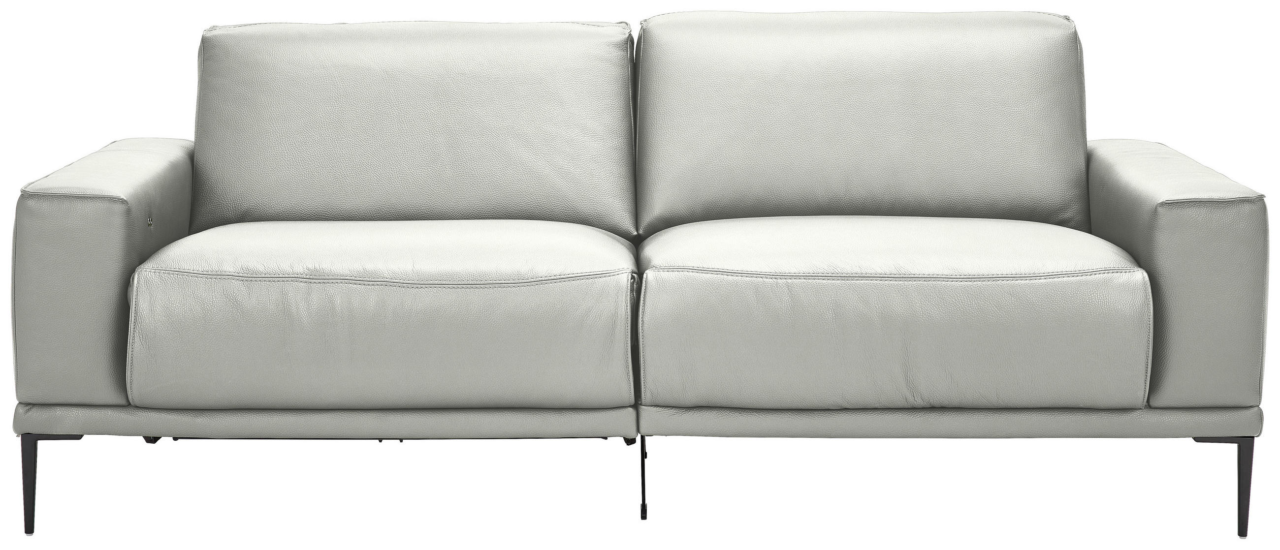 2,5-SITZER Echtleder Silberfarben  - Silberfarben/Schwarz, Design, Leder/Metall (200/102/92cm) - Johann Jakob