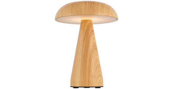 TISCHLEUCHTE - Naturfarben, Trend, Kunststoff/Metall (15,5/21cm) - Novel