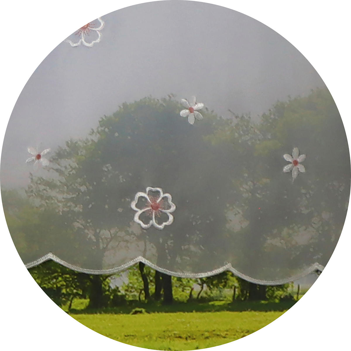 KURZGARDINE    153/44 cm  - Magenta/Weiß, Basics, Textil (153/44cm)