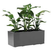 BLUMENKASTEN RIO GREENER  - Anthrazit, Basics, Kunststoff (99,5/39,5/39,5cm)