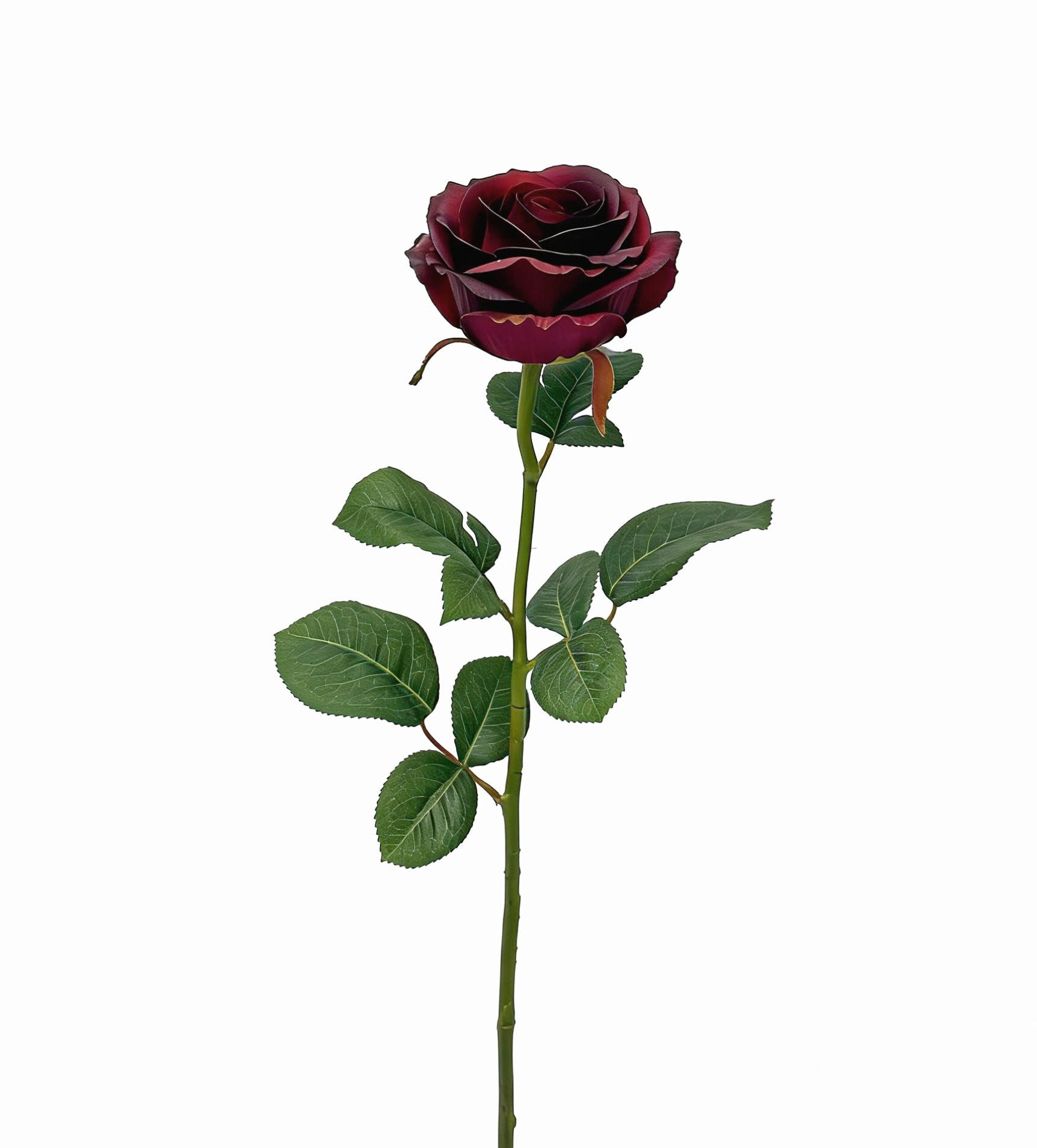 ROSE - Violett, LIFESTYLE, Kunststoff (60cm)