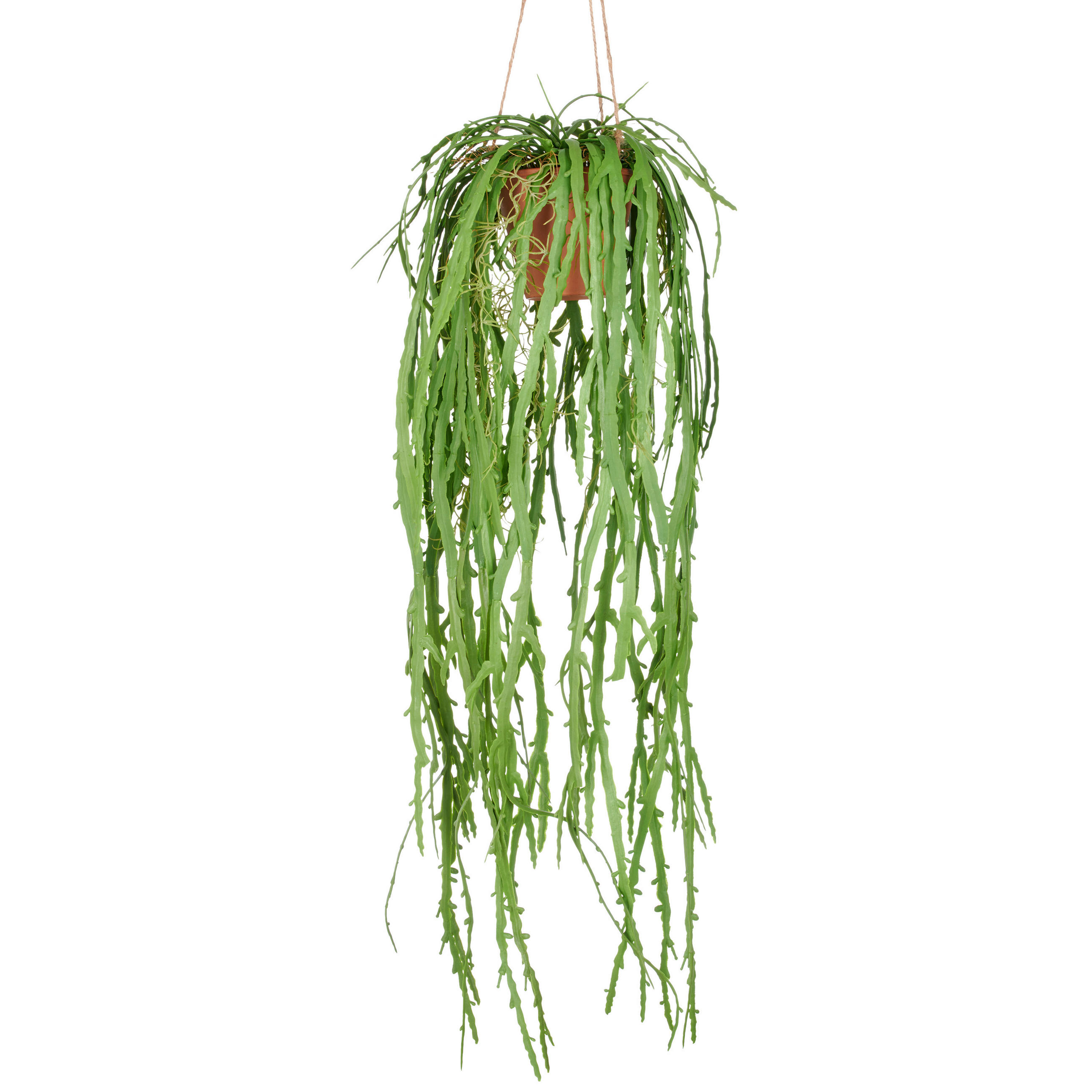 KUNSTPFLANZE 80 cm  - Naturfarben/Grün, Basics, Kunststoff (80cm) - P & B