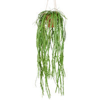 KUNSTPFLANZE 80 cm  - Naturfarben/Grün, Basics, Kunststoff (80cm) - P & B