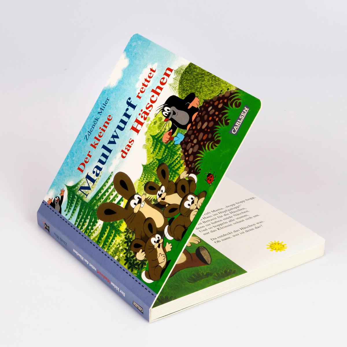 BUCH - Multicolor, Basics, Papier (19,8/19,8/1,6cm)