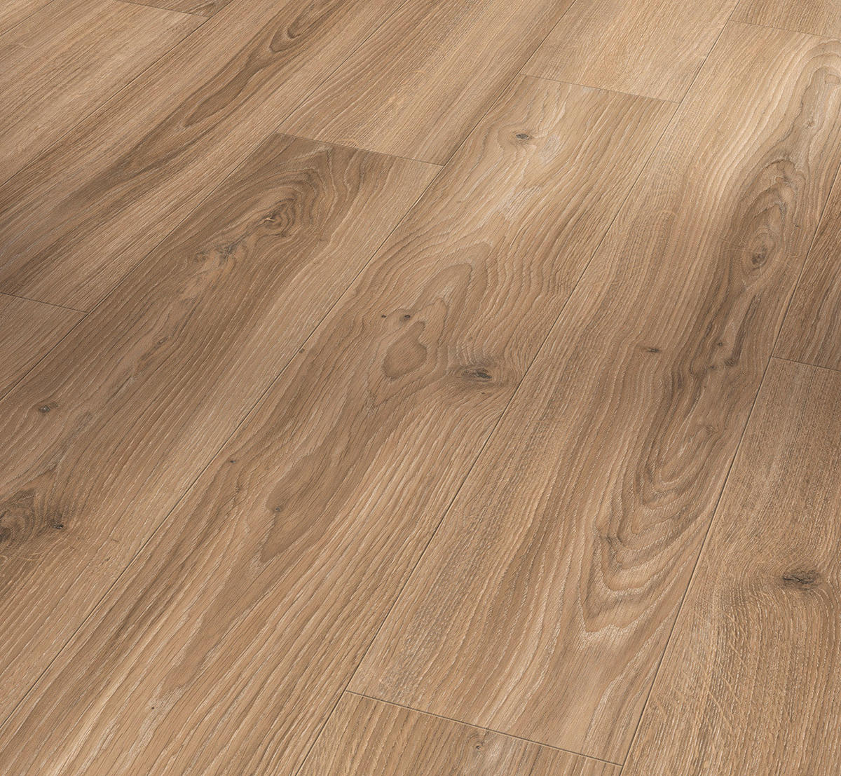 LAMINATBODEN Laminat Basic 400  per  m² - Eichefarben, Basics, Holzwerkstoff (128.5/19.4/0.8cm) - Parador