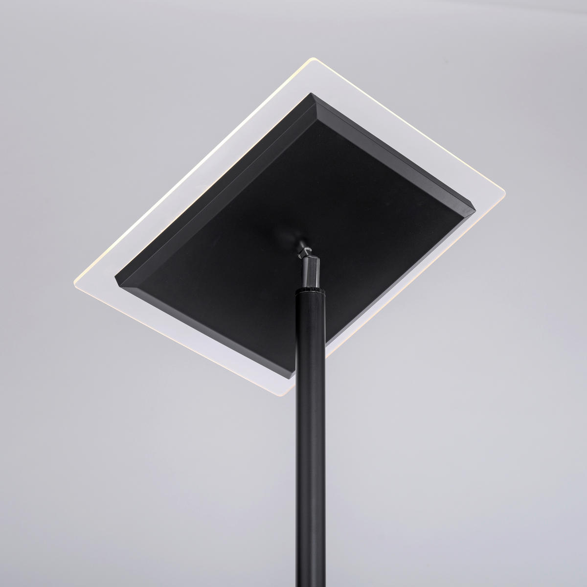 STOJACIA LED LAMPA, 56/57,5/190 cm - čierna, Basics, kov/plast (56/57,5/190cm)