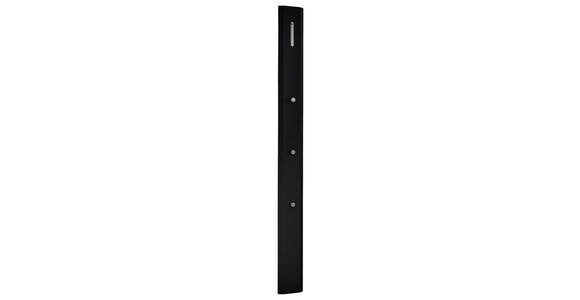 GARDEROBENPANEEL 15/165/5 cm - Anthrazit/Alufarben, Design, Holzwerkstoff/Metall (15/165/5cm) - Dieter Knoll