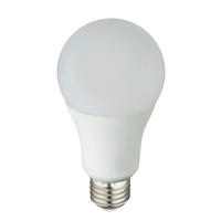 Bec LED - opal, Basics, plastic (6/11,5cm)
