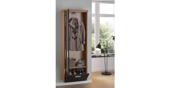 GARDEROBENSCHRANK 65/187/32 cm - Eichefarben/Silberfarben, Design, Glas/Holz (65/187/32cm) - Dieter Knoll