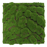 AKUSTIKPANEEL Modular Wall System Design Moos 52/52/2.6 cm  - Hellgrün, KONVENTIONELL, Naturmaterialien (52/52/2.6cm) - Jangal