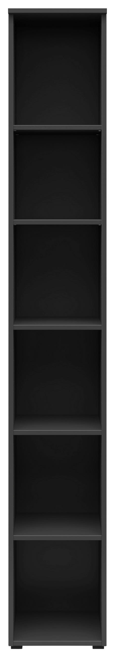 REGAL Graphitfarben  - Anthrazit/Graphitfarben, MODERN, Holzwerkstoff/Kunststoff (30/195/40cm) - Carryhome