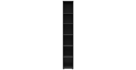 REGAL Graphitfarben - Anthrazit/Graphitfarben, MODERN, Holzwerkstoff/Kunststoff (30/195/40cm) - Carryhome