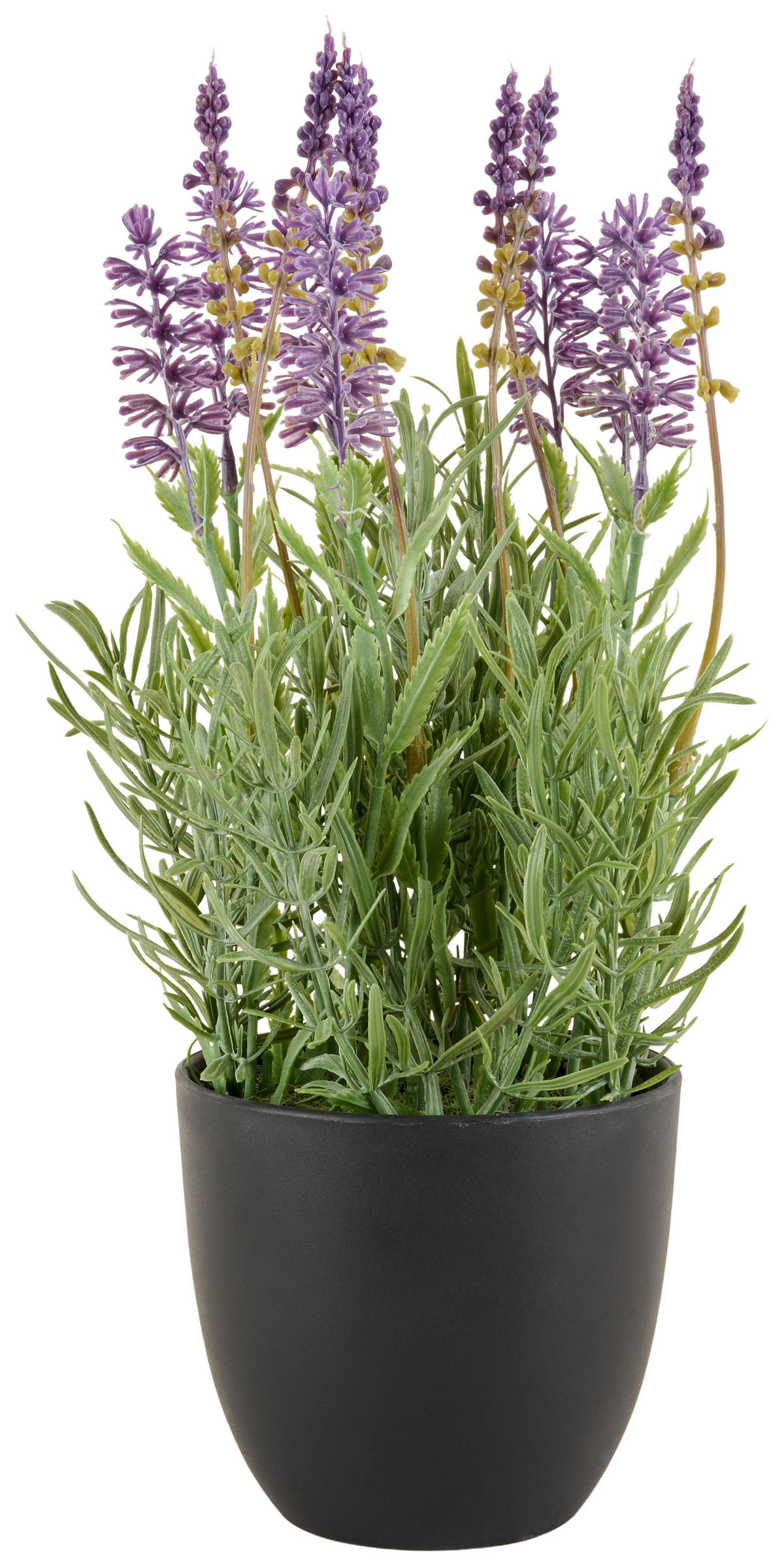 KUNSTPFLANZE Lavendel 31 cm  - Flieder/Schwarz, Basics, Kunststoff/Textil (31cm)