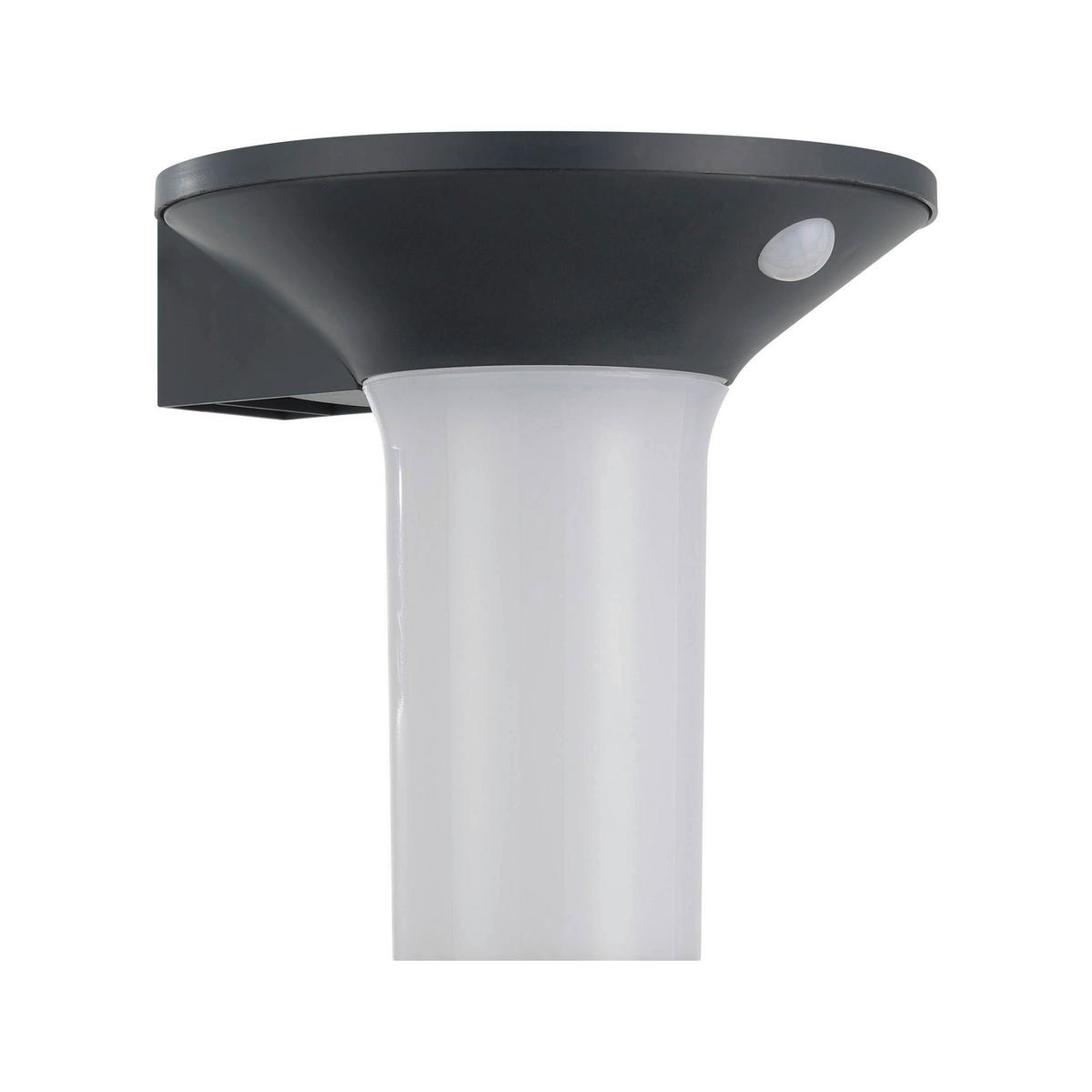 AUßENWANDLEUCHTE - Graphitfarben/Weiß, Basics, Kunststoff (16/16cm) - Eglo