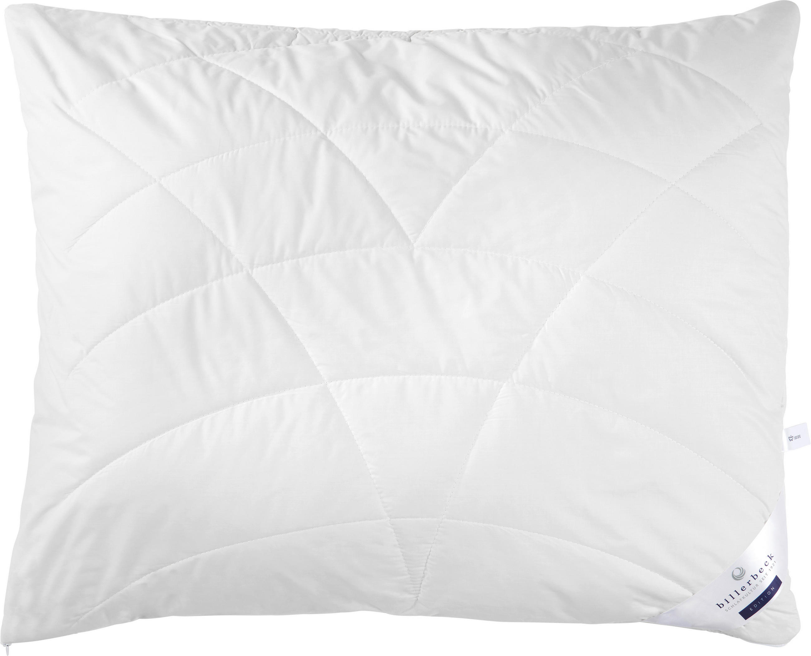 POLSTER 70/90 cm   - Champagner, Basics, Textil (70/90cm) - Billerbeck