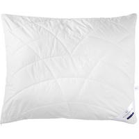 POLSTER 70/90 cm   - Champagner, Basics, Textil (70/90cm) - Billerbeck
