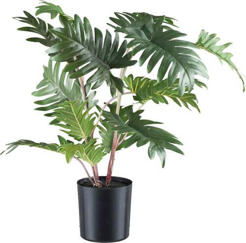 KUNSTPFLANZE 50 cm  - Schwarz/Braun, Design, Kunststoff (50cm) - P & B