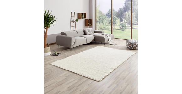HANDWEBTEPPICH 170/230 cm Weiß - Weiß, Basics, Naturmaterialien (170/230cm) - Linea Natura
