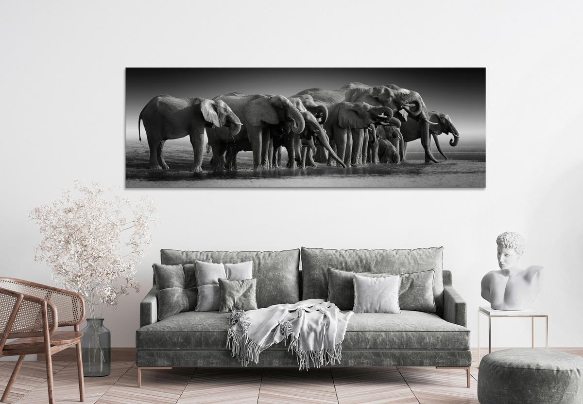 MALBA NA PLÁTNĚ, zvířata, 180/60 cm  - bílá/černá, Konvenční, dřevo/papír (180/60cm) - Euroart
