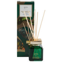 DIFFUSER 100 ml   - Goldfarben/Grün, Basics (100ml) - Ipuro