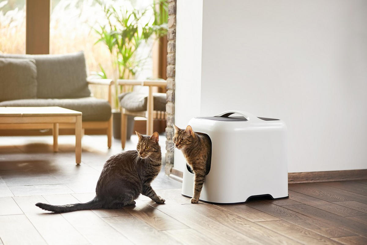 KATZENTOILETTE - Weiß, Basics, Kunststoff (51/39,5/44,3cm) - Rotho