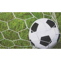 FUßMATTE 45/75 cm Soccerbal  - Multicolor, Trend, Kunststoff/Textil (45/75cm) - Esposa