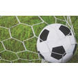 FUßMATTE 45/75 cm Soccerbal  - Multicolor, Trend, Kunststoff/Textil (45/75cm) - Esposa