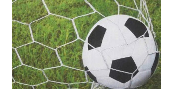 FUßMATTE 45/75 cm Soccerbal  - Multicolor, Trend, Kunststoff/Textil (45/75cm) - Esposa