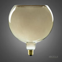 LED-FILAMENT-LEUCHTMITTEL E27 6 W 300 lm  - Grau, Basics, Glas (20/23cm)