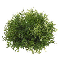 GRASKUGEL  - Grün, Basics, Kunststoff (14cm)