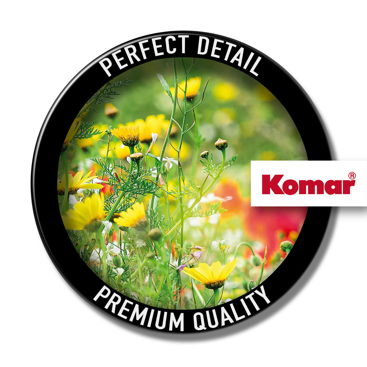 FOTOTAPETE  - Multicolor, Trend, Textil (450/280cm) - Xora