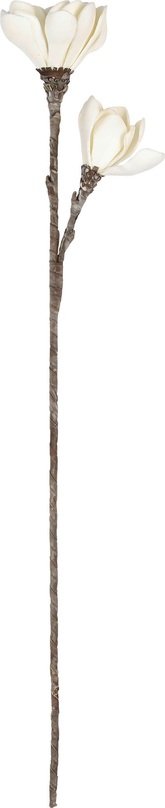UMĚLÁ KVĚTINA 92 cm - bílá/hnědá, Basics, kov/plast (92cm) - Ambia Home