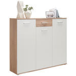 SCHUHSCHRANK 136/118/36 cm  - Silberfarben/Weiß, Design, Holzwerkstoff/Kunststoff (136/118/36cm) - Carryhome