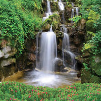 OBRAZ NA SKLE, krajina a příroda, 20/20/1,40 cm - Natur, sklo (20/20/1,40cm) - Euroart