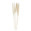 TROCKENBLUME  - Weiß, Basics, Naturmaterialien (75cm)