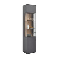 VITRINE Graphitfarben  46,9/205,5/37,1 cm  - Graphitfarben, Design, Glas/Holzwerkstoff (46,9/205,5/37,1cm) - Dieter Knoll