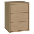 NACHTSCHRANK 50/69/42 cm  - Eichefarben/Silberfarben, Trend, Holzwerkstoff/Kunststoff (50/69/42cm) - Carryhome