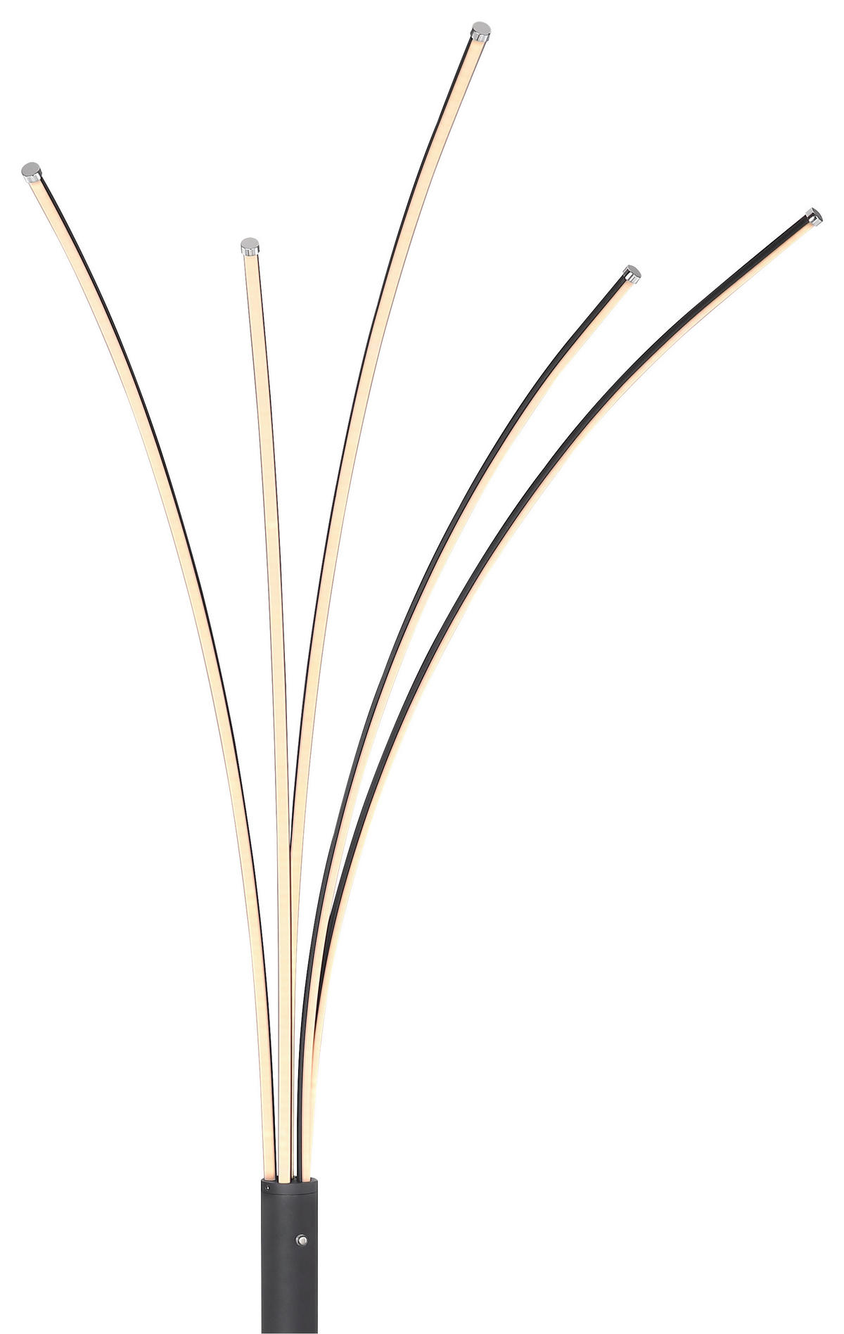 STOJACÍ OBLOUKOVÉ SVÍTIDLO, 56/60/187 cm - černá, Design, kov/plast (56/60/187cm)