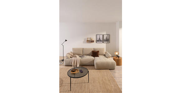 ECKSOFA Naturfarben Webstoff  inkl. Rückenkissen, Bettkasten, Schlaffunktion, Rücken echt, Armteilverstellung, Liegefläche im Originalstoff  - Schwarz/Naturfarben, KONVENTIONELL, Kunststoff/Textil (282/162cm) - Carryhome