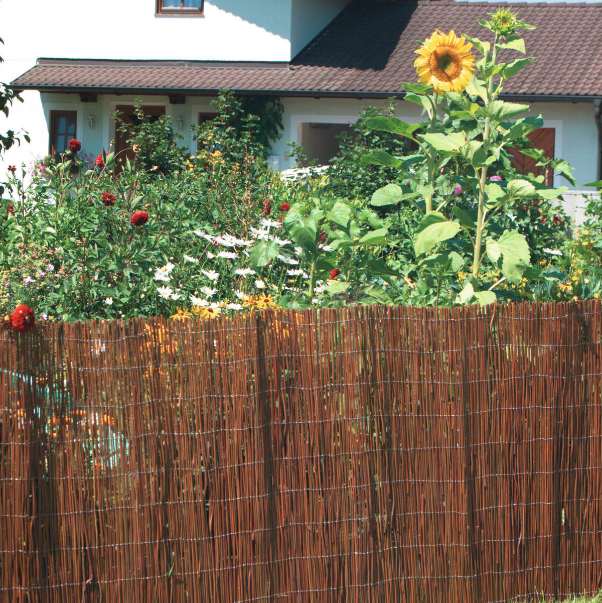 SICHTSCHUTZ - Naturfarben, Basics, Naturmaterialien (300/100cm)