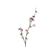 VYKVETLÁ VĚTVIČKA TŘEŠNĚ 70 cm - Basics (70cm)