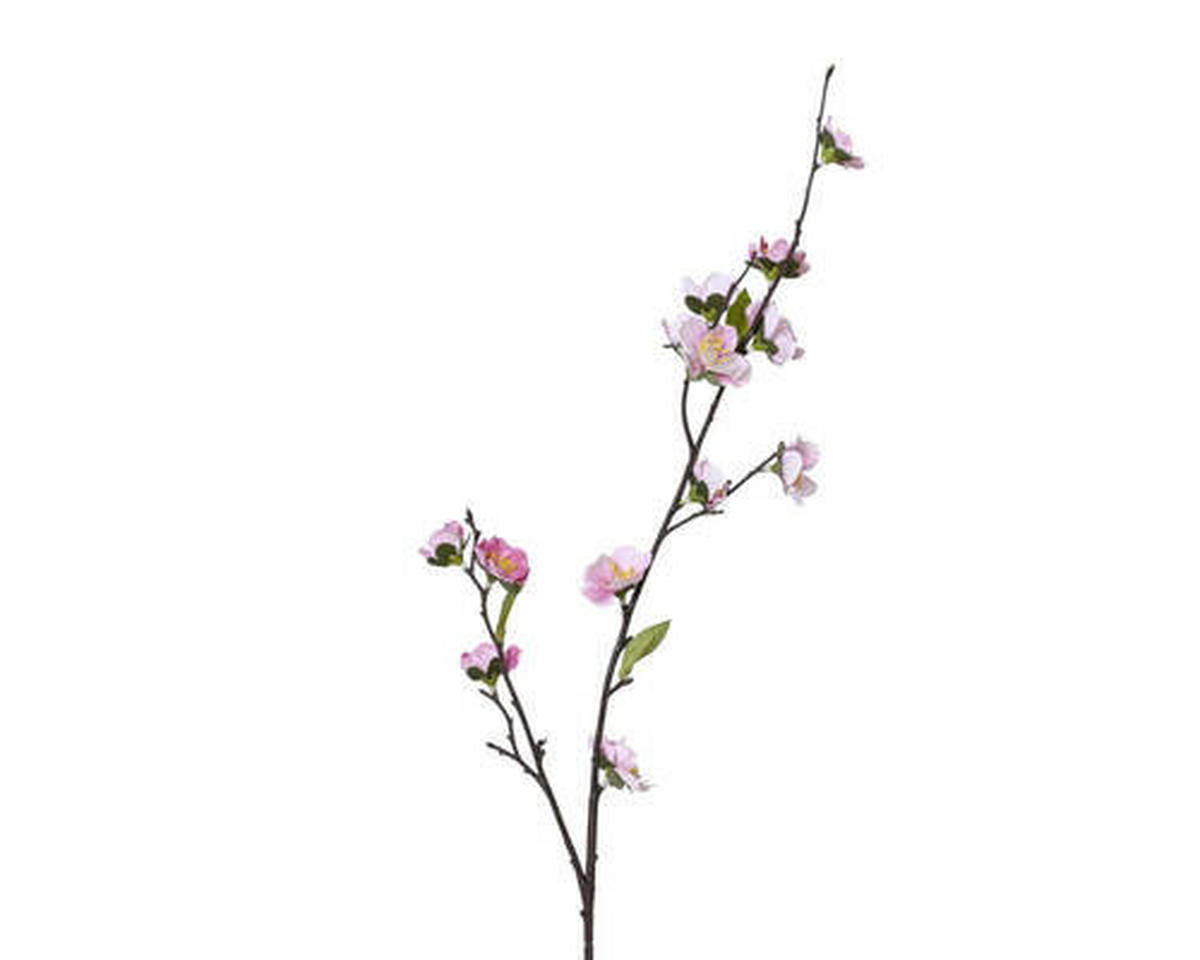 VYKVETLÁ VĚTVIČKA TŘEŠNĚ 70 cm - Basics (70cm)