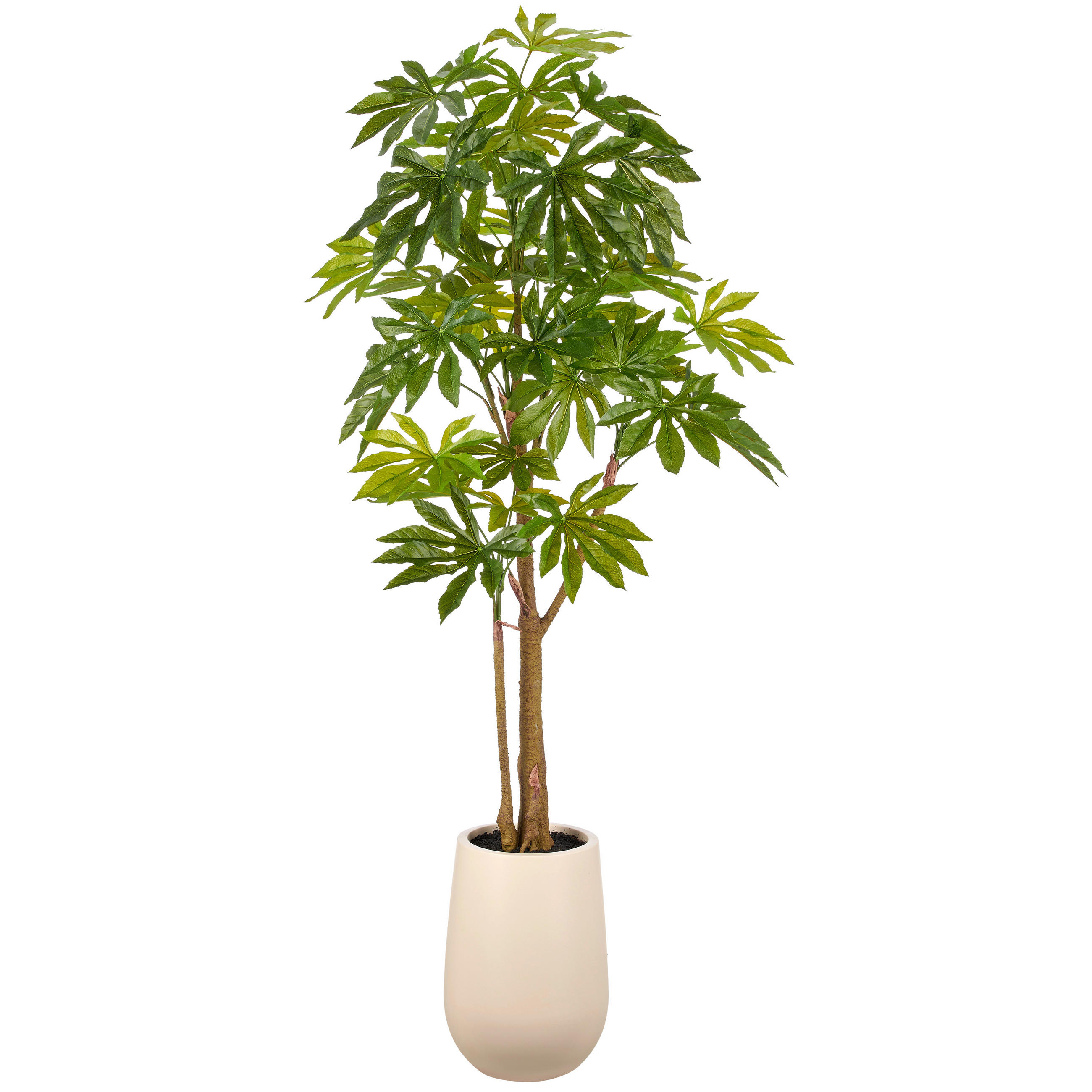 KUNSTPFLANZE Aralia 175 cm  - Creme/Braun, Basics, Kunststoff (175cm)